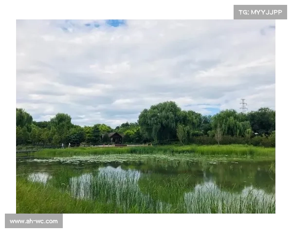 湖畔幽静:冬日静思与自然探幽 湖畔幽静:冬日静思与自然探幽